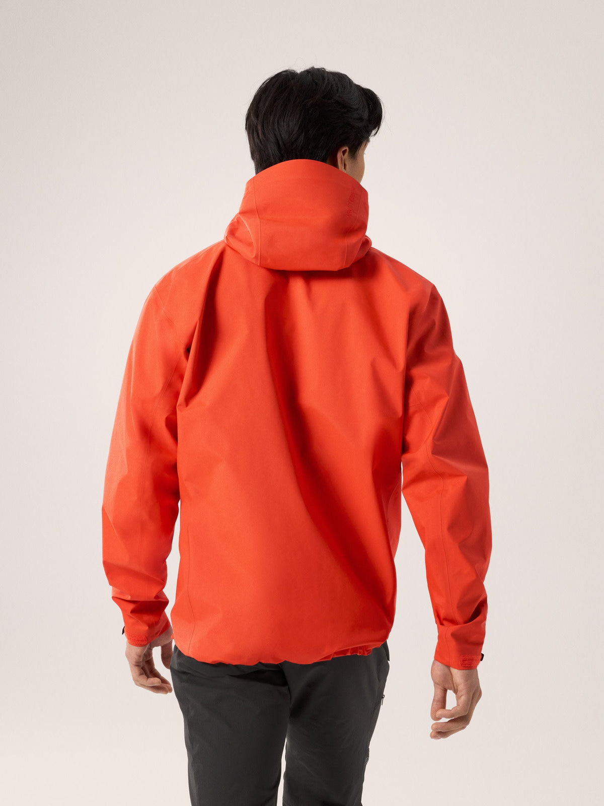 Arc'teryx Beta Jacket Men's