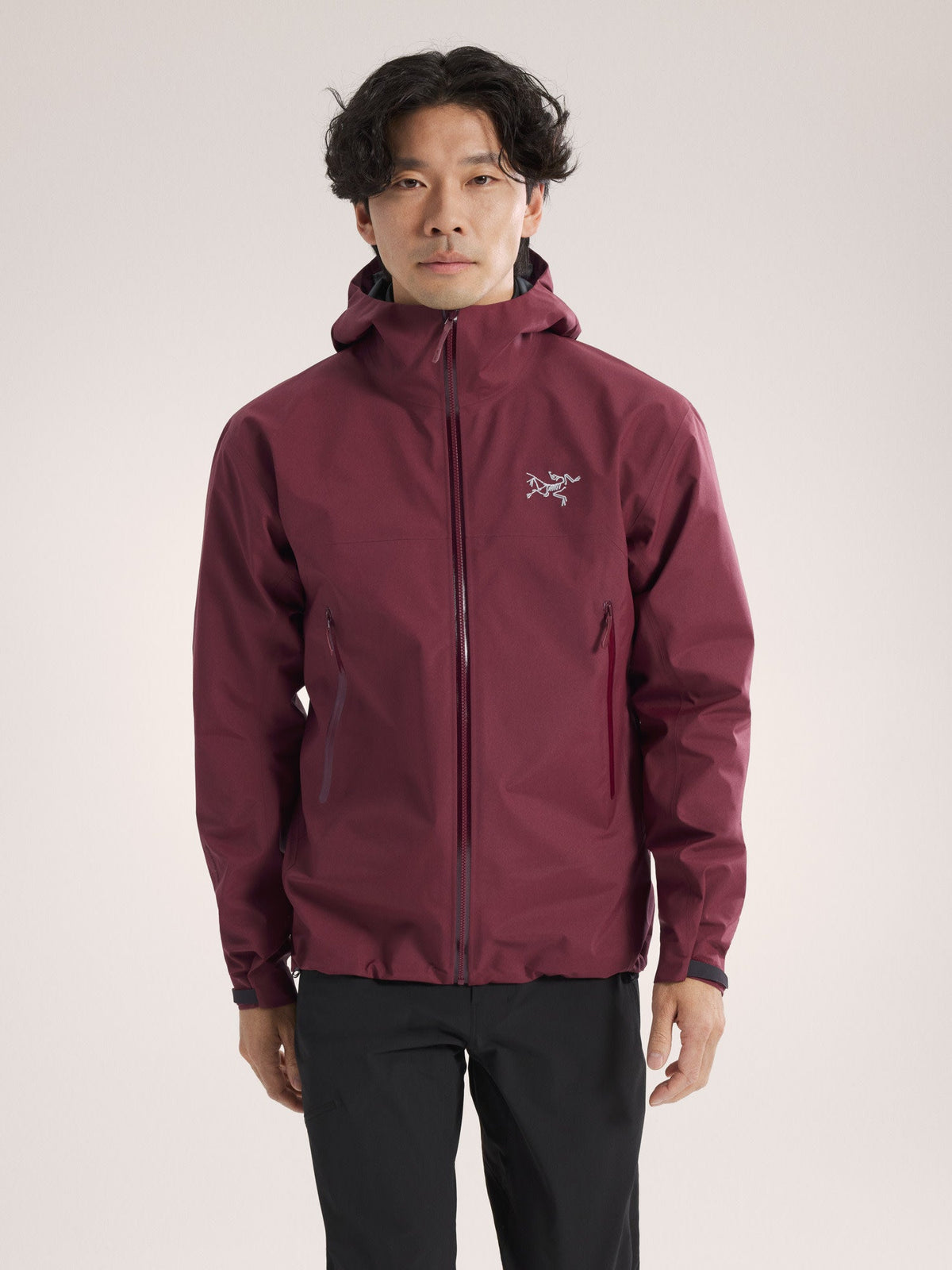 Arc'teryx Beta Jacket Men's